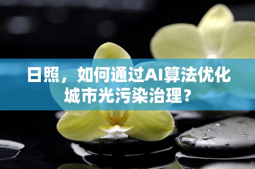 日照，如何通过AI算法优化城市光污染治理？