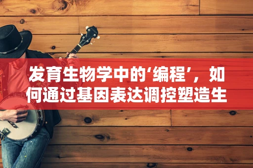发育生物学中的‘编程’，如何通过基因表达调控塑造生命蓝图？