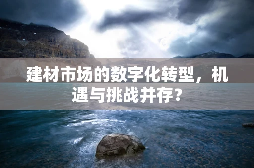 建材市场的数字化转型，机遇与挑战并存？