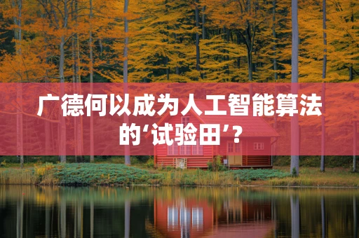 广德何以成为人工智能算法的‘试验田’？