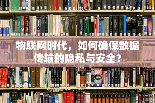 物联网时代，如何确保数据传输的隐私与安全？