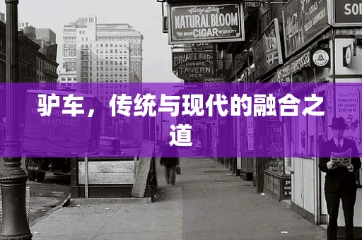 驴车，传统与现代的融合之道