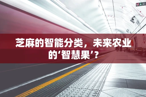 芝麻的智能分类，未来农业的‘智慧果’？