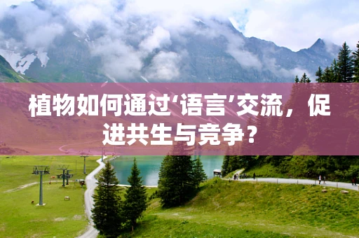 植物如何通过‘语言’交流，促进共生与竞争？