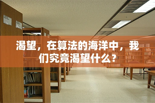 渴望，在算法的海洋中，我们究竟渴望什么？