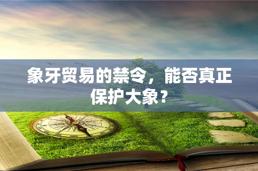 象牙贸易的禁令，能否真正保护大象？