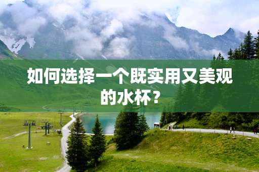如何选择一个既实用又美观的水杯？