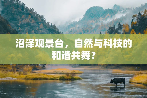 沼泽观景台，自然与科技的和谐共舞？