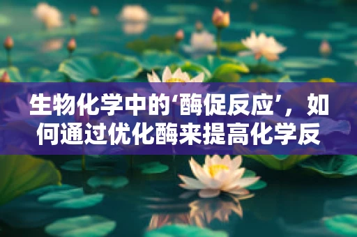 生物化学中的‘酶促反应’，如何通过优化酶来提高化学反应效率？