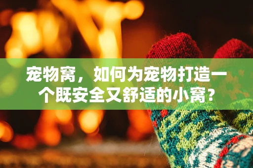宠物窝，如何为宠物打造一个既安全又舒适的小窝？