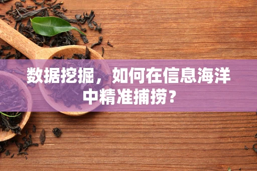 数据挖掘，如何在信息海洋中精准捕捞？