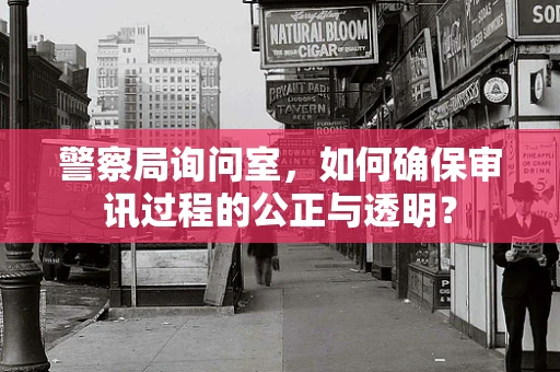 警察局询问室，如何确保审讯过程的公正与透明？