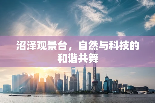 沼泽观景台，自然与科技的和谐共舞