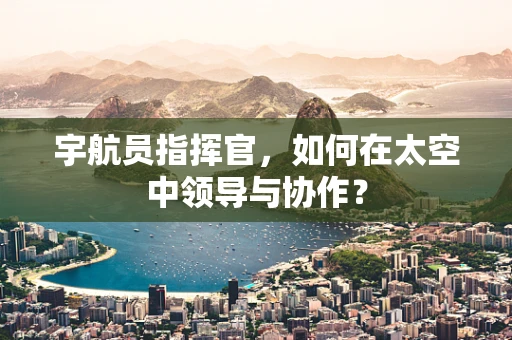 宇航员指挥官，如何在太空中领导与协作？