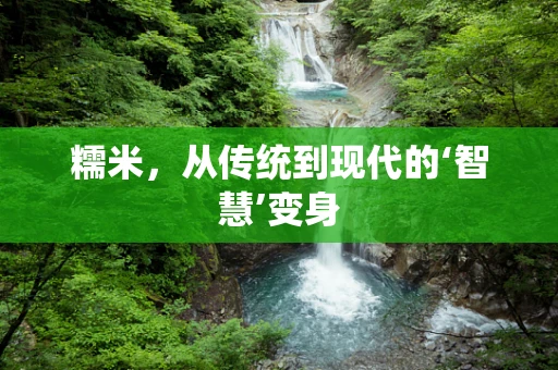 糯米，从传统到现代的‘智慧’变身