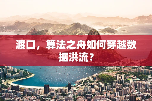 渡口，算法之舟如何穿越数据洪流？