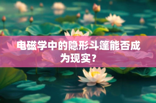 电磁学中的隐形斗篷能否成为现实？