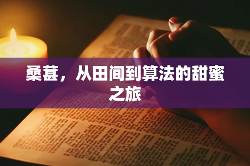 桑葚，从田间到算法的甜蜜之旅