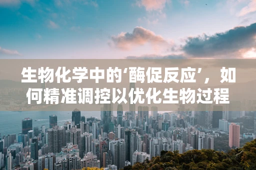生物化学中的‘酶促反应’，如何精准调控以优化生物过程？