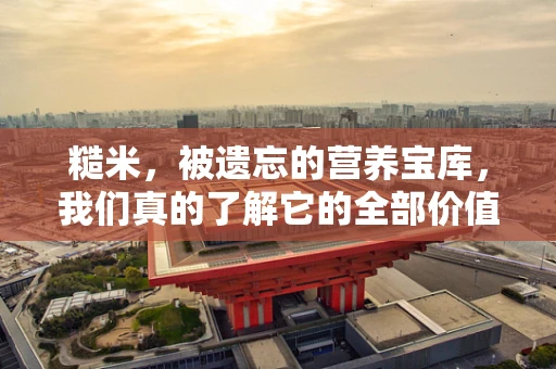 糙米，被遗忘的营养宝库，我们真的了解它的全部价值吗？