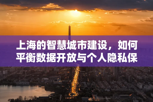 上海的智慧城市建设，如何平衡数据开放与个人隐私保护？
