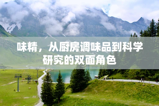 味精，从厨房调味品到科学研究的双面角色