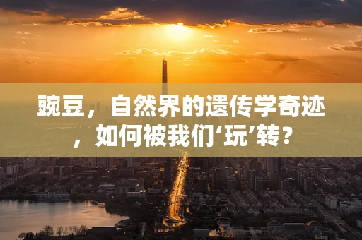 豌豆，自然界的遗传学奇迹，如何被我们‘玩’转？