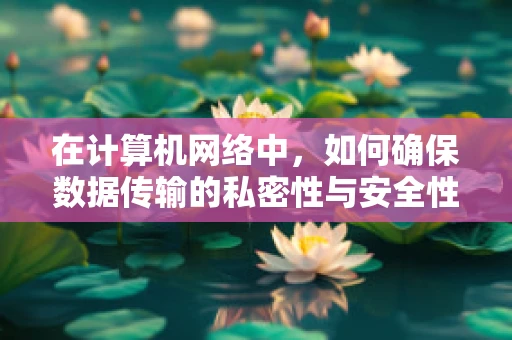 在计算机网络中，如何确保数据传输的私密性与安全性？