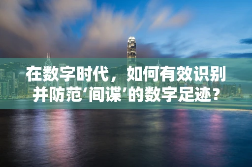 在数字时代，如何有效识别并防范‘间谍’的数字足迹？
