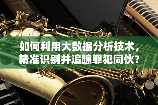如何利用大数据分析技术，精准识别并追踪罪犯同伙？