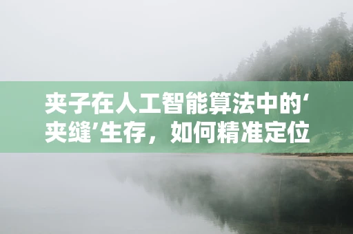夹子在人工智能算法中的‘夹缝’生存，如何精准定位与高效利用？