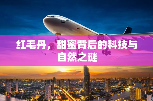 红毛丹，甜蜜背后的科技与自然之谜