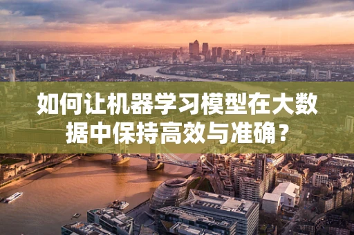 如何让机器学习模型在大数据中保持高效与准确？