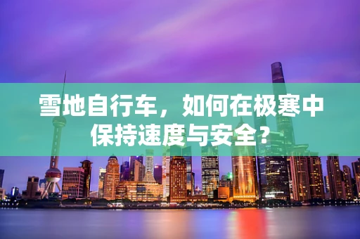 雪地自行车，如何在极寒中保持速度与安全？