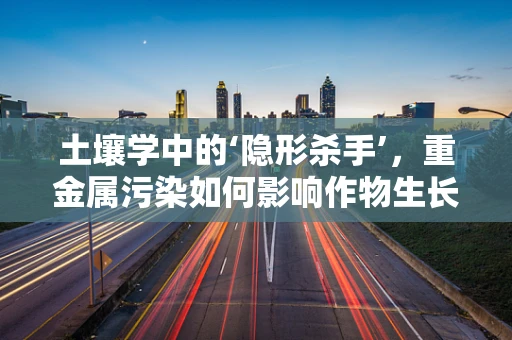 土壤学中的‘隐形杀手’，重金属污染如何影响作物生长？