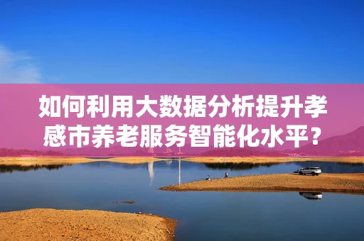 如何利用大数据分析提升孝感市养老服务智能化水平？