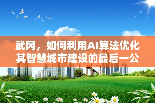 武冈，如何利用AI算法优化其智慧城市建设的最后一公里？