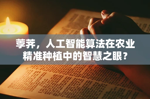 荸荠，人工智能算法在农业精准种植中的智慧之眼？