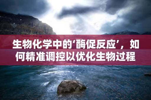 生物化学中的‘酶促反应’，如何精准调控以优化生物过程？