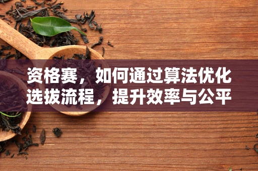 资格赛，如何通过算法优化选拔流程，提升效率与公平性？
