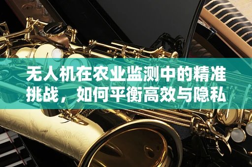无人机在农业监测中的精准挑战，如何平衡高效与隐私保护？