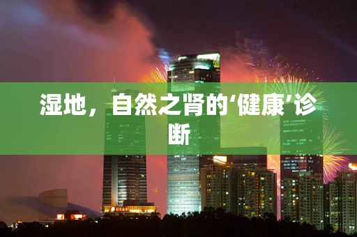 湿地，自然之肾的‘健康’诊断