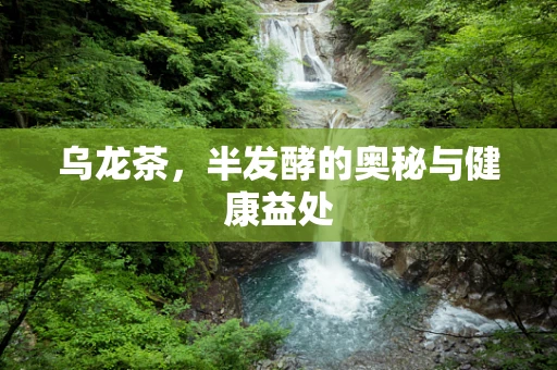 乌龙茶，半发酵的奥秘与健康益处