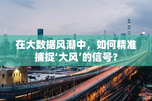 在大数据风潮中，如何精准捕捉‘大风’的信号？