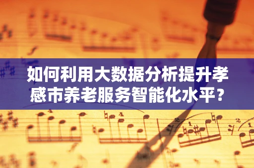 如何利用大数据分析提升孝感市养老服务智能化水平？