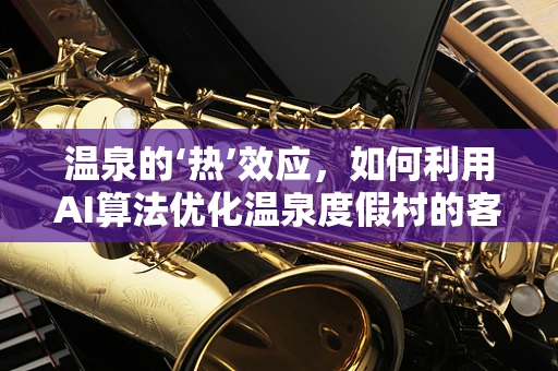 温泉的‘热’效应，如何利用AI算法优化温泉度假村的客户体验？