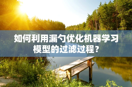 如何利用漏勺优化机器学习模型的过滤过程？