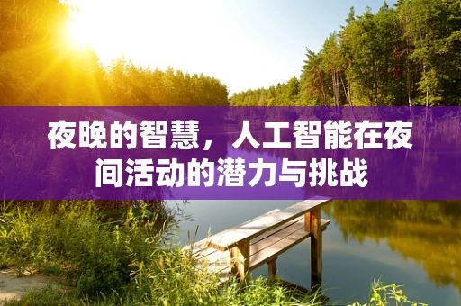 夜晚的智慧，人工智能在夜间活动的潜力与挑战