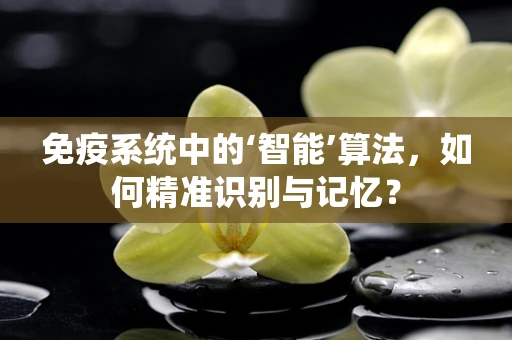 免疫系统中的‘智能’算法，如何精准识别与记忆？