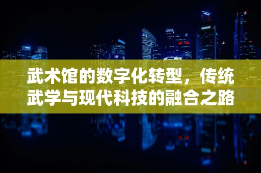 武术馆的数字化转型，传统武学与现代科技的融合之路